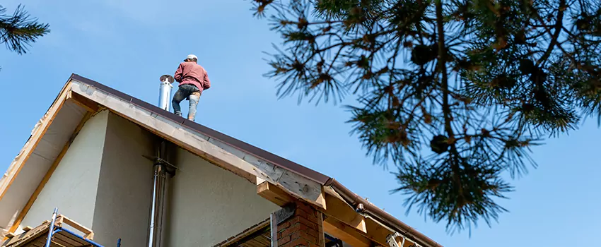 Birds Removal Contractors from Chimney in Myrtle Grove, FL